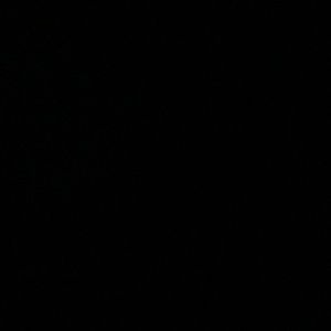 Meet your Posher, Bryan